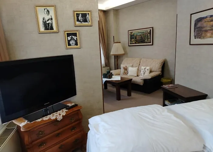 семеен старият град 3* Vidin